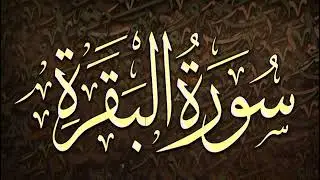 ربع ليس عليك هداهم _سورة البقرة_ محمد أيوب