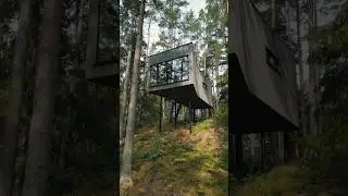 Skylight Dreams ✨ Sleeping under the stars in this Swedish Cabin #cozycabins #travel #uniquestay