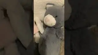 Ranking jellycats