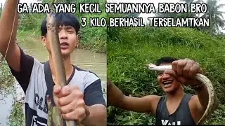 Pesta straike mancing belut dan sidat, tarikannya bikin keringetan | eel fish and eel fishing