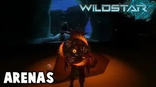 Как на самом деле выглядит арена WildStar!