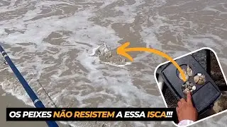 CARAPEBA E PAPA-TERRA, essa ISCA SEMPRE SALVA A PESCARIA - PESCA DE PRAIA