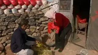 Legacy of 'The Silk Road'