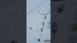 it's time to shovel some more snow