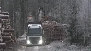 Volvo FH13 540 6X4 Timber Truck Loading