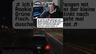 Die Liebe der Community #shorts #viewerattack #twitch #community #gta