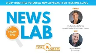 News From the Lab: Study Identifies Potential New Approach for Treating Lupus
