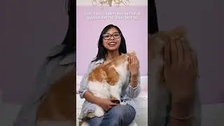 pernah liat nggak kucing kamu selaput matanya keluar? #faktakucing #perawatankucing #kucing