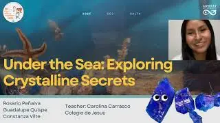 Under the sea (Colegio de Jes&uacute;s) || IUCr crystal growing competition 2025