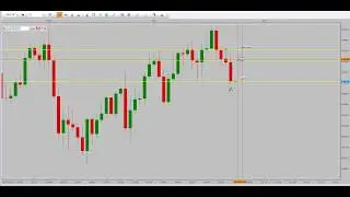 TMFX Trading - Forex Trading profitable winning strategy-24-09-2019