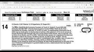 2026 Fountain of Youth Stakes Full Field Analysis and Picks | Gulfstream Park