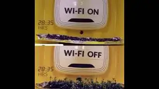 Wifi on / WIfi Off  / The effect of Wi-Fi (EMF) on plant growth shot on time lapse.