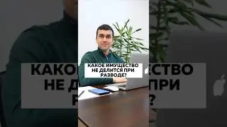 Какое имущество не делится при разводе? #развод #юрист #юристонлайн #имущество #разводсженой