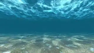 O Som do fundo do Mar - Ouvir e Relaxar