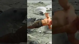 muscle art/ abs with friends