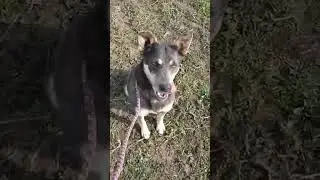 HOPE 0813 VIDEO