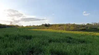 Ambiental Sound - Spring in Bihor County, Romania