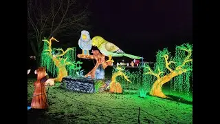 Seattle: Things to do in Winter - WildLanterns at Woodland Park Zoo