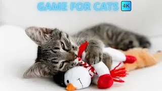 【猫動画 - 猫に優しい動画34選】バッタ、コオロギ、てんとう虫、ネズミ、スズメ、サンショウウオ、トカゲ、猫用ネズミのおもちゃ、フラミンゴ、ハト、UFO GAME FOR CATS 5 HOURS