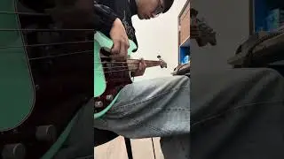 Bluebird by Sunset Rollercoaster bass cover 