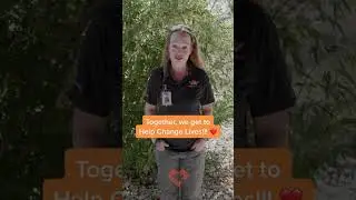 Why we do what we do at Warriors Heart - Kelly Harris, LPC,  Warriors Heart  Veterans Rehab #shorts