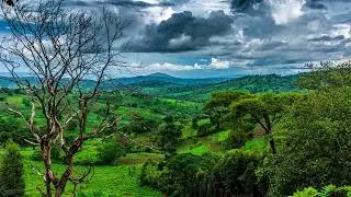 The Valley Of !osha ~~ SE B10k! The Native Perspective! 001