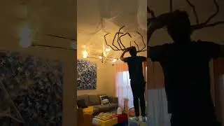 Making a spider&rsquo;s nest in my living room! #spooky #halloween #spookyseason