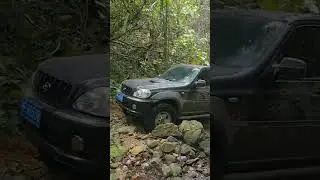 Hyundai or Mitsubishi? The Ultimate Jungle Secret! 🔍#hyundaigalloper #pajero #jdm #4x4life
