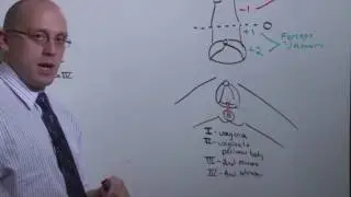 Obstetrics  OB Operations   The Medical Education