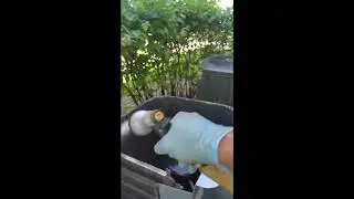AC TUNE UP AND CLEANING
