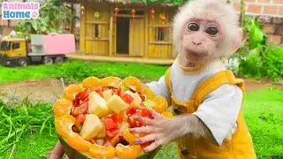 Smart Obi helps dad make delicious watermelon yogurt