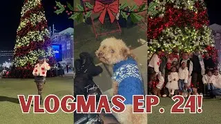 VLOGMAS, выпуск 24 | Смотрите, как члены королевской семьи впервые видят рождественскую елку 🎄