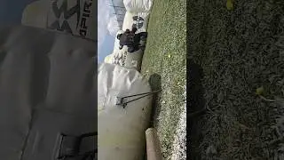 When the snake 🐍 guy don&rsquo;t listen..you gotta get in there #paintball #texaspaintball #nxlpaintball