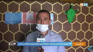 كلميم وادنون .. 700 مليون ظرهم رقم معاملات فاكهة الصبار خلال الموسم الفلاحي الحالي