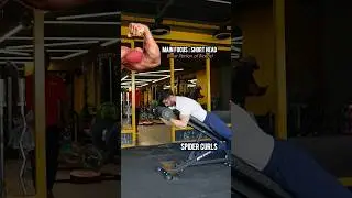 Spider Curls Setup in 10 Seconds ✅