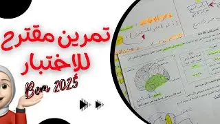 تمرين مقترح ، تفسير إصابات , Bem 2025
