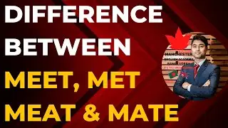 Difference between Homophones: Meet, Met, Meat, and Mate