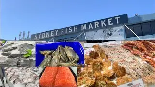 2021 Sydney Fish Market || Walk tour from Barangaroo- Darling harbour - Sydney fish market.