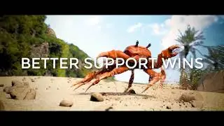 Better support wins
