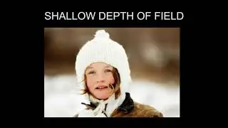 shallow DoF intro