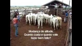 Manejo racional: treinamento e atitude