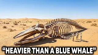 Scientists Just Found Something Heavier Than a Blue Whale... In a Desert