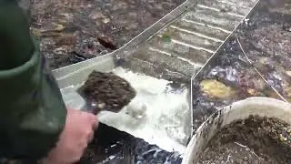Мою Золото минишлюзом из потайной ямы в ручье!