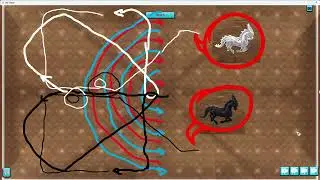 sso emo students dressage track
