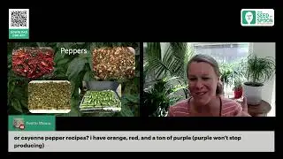 Preserving Peppers: Dehydration, Freezing, and Smoking Techniques