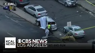 South LA hit-and-run kills 2 people