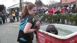 O Lesnického vánočního kapra - lovení kaprů 2022