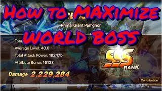 Summoners War - World Boss Strategy (End Game POV)