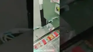 Horizontal Flow Wrap Machine