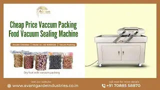 Cheap price vaccum packing food vacuum sealing machine by Avant Garde Industries